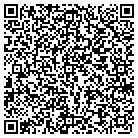 QR code with Professional Mileage System contacts
