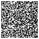 QR code with Christine F Skibola contacts