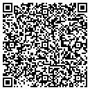 QR code with Bio Lumix Inc contacts