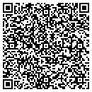 QR code with Purilogics LLC contacts