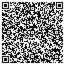 QR code with Cureport Inc contacts