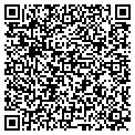 QR code with Yogitoes contacts