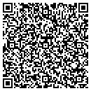 QR code with Pterofin LLC contacts
