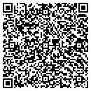 QR code with Boston Analytical Inc contacts