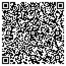 QR code with Chemlink Laboratories contacts