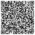 QR code with Chemnano Materials Ltd contacts