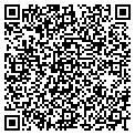 QR code with Dsi Labs contacts