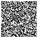 QR code with Prometheus Parsec Inc contacts