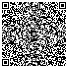 QR code with Cybit Technologies Inc contacts