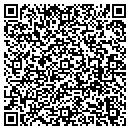 QR code with Protronics contacts