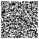 QR code with Pulse-Link Inc contacts