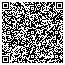 QR code with Precision Solar contacts
