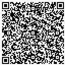 QR code with PrecisionMapper contacts