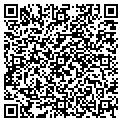 QR code with Sickle contacts