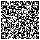QR code with Pro Form & File Inc contacts