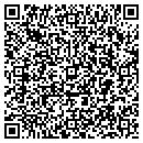 QR code with Blue Sky Expressions contacts