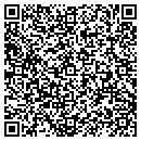 QR code with Clue Educational Systems contacts
