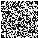 QR code with Pulse Industries Inc contacts