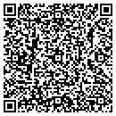 QR code with Pyramid Traders contacts
