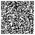 QR code with C Tgy contacts