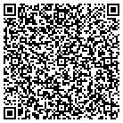 QR code with Plum Constultants L L C contacts