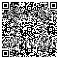 QR code with C Tgy contacts