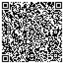 QR code with Precision Resale LLC contacts