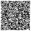 QR code with Pulaski Flea Market contacts