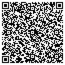 QR code with Curved Skies L L C contacts