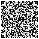 QR code with Custom Simulation LLC contacts