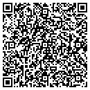QR code with Pyka Aerospace Inc contacts