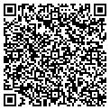 QR code with Teemco contacts
