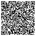 QR code with X-Chem contacts