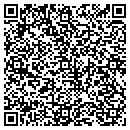 QR code with Process Analytical contacts