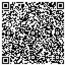 QR code with Professional Design contacts