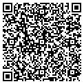 QR code with Toggery contacts