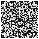 QR code with Publix Books contacts