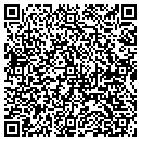 QR code with Process Automation contacts