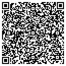 QR code with Pyramid Design contacts