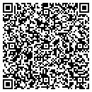 QR code with Cobra Management Inc contacts