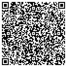 QR code with Techsmart Services Inc contacts