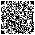 QR code with V L L C contacts