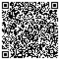 QR code with M Tech contacts