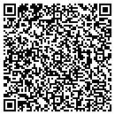 QR code with Steinzec Inc contacts