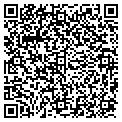 QR code with Rcgit contacts
