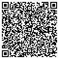 QR code with Hollis contacts
