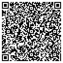 QR code with Precision Components International contacts