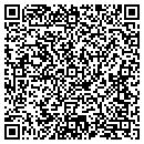 QR code with Pvm Systems LLC contacts