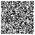 QR code with Infotech contacts