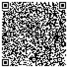 QR code with Programmer Consultant contacts